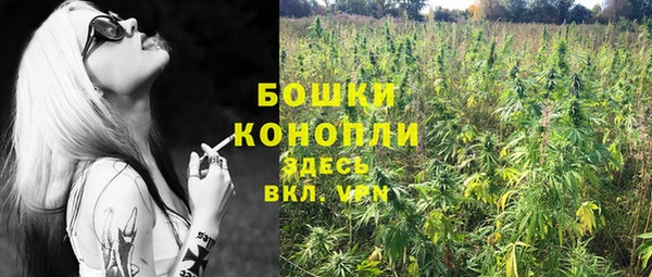 гашик Козельск