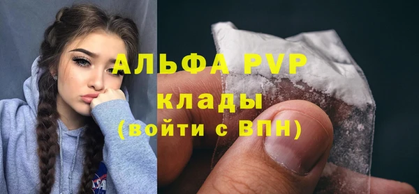 гашик Козельск