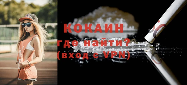 гашик Козельск