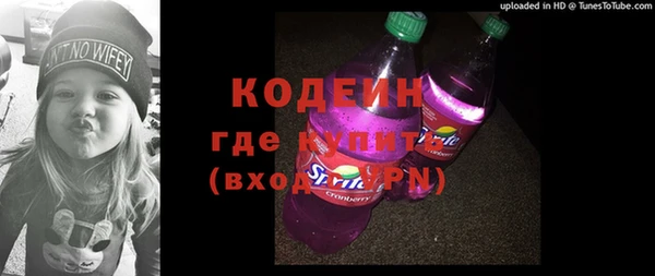 гашик Козельск
