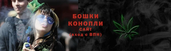 гашик Козельск