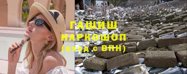 гашик Козельск