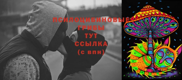 гашик Козельск